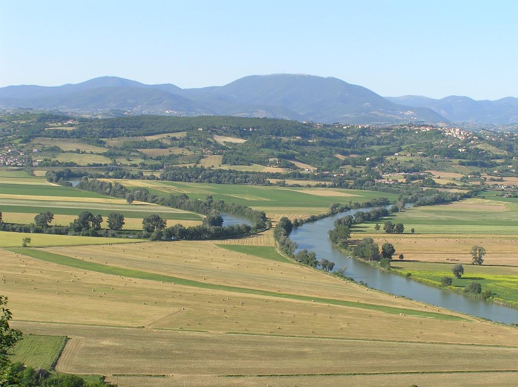 Agriturismo Monterone Ponzano Romano ภายนอก รูปภาพ