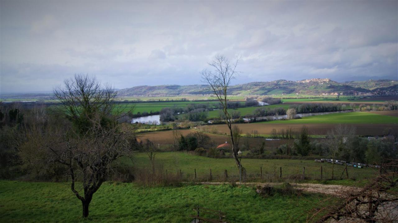 Agriturismo Monterone Ponzano Romano ภายนอก รูปภาพ