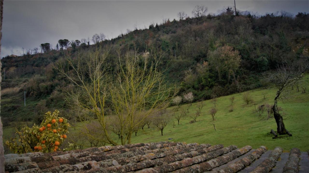 Agriturismo Monterone Ponzano Romano ภายนอก รูปภาพ
