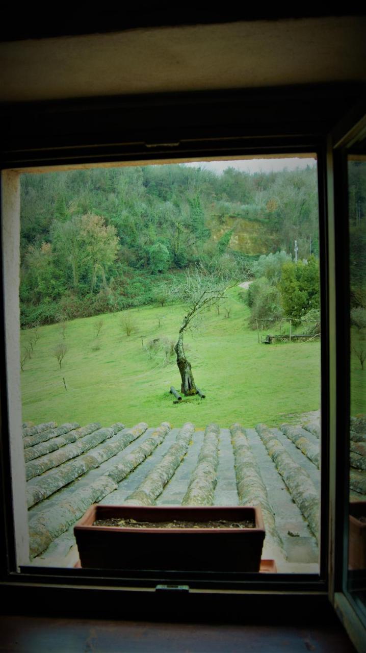 Agriturismo Monterone Ponzano Romano ภายนอก รูปภาพ